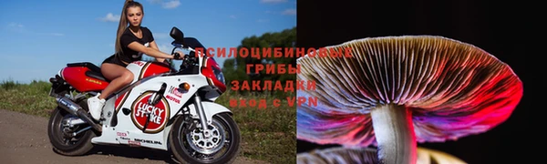спиды Зерноград
