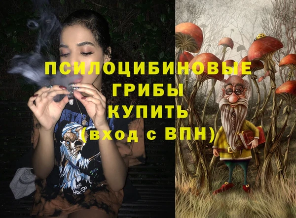 спиды Зерноград