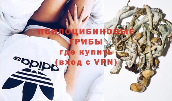 спиды Зерноград