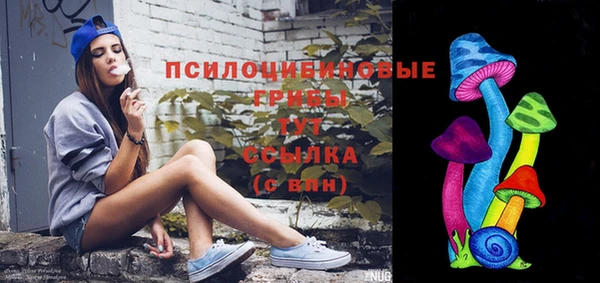 спиды Зерноград