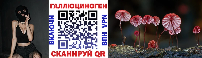наркошоп  Лихославль  Псилоцибиновые грибы мицелий 